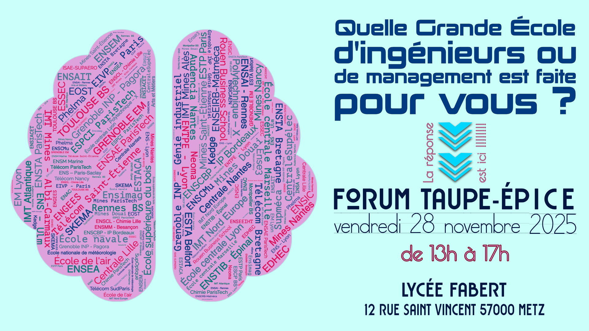 Annonce Taupe-Epice - HD